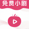 精彩破门视频APPAPP应用